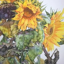 Cross stitch pattern: #1835145