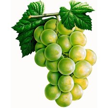 Cross stitch pattern: #1835259