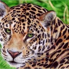Cross stitch pattern: #1835407