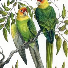 Cross stitch pattern: #1835502