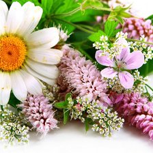 Cross stitch pattern: #1835667