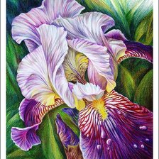 Cross stitch pattern: #1836000