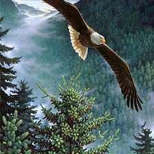 Cross stitch pattern: #1836018