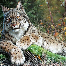 Cross stitch pattern: #1836779