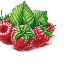 Cross stitch pattern: #1836984