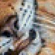 Preview of cross stitch pattern: #1837008