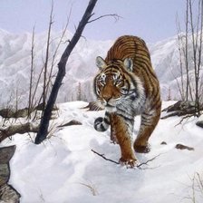 Cross stitch pattern: #1838247