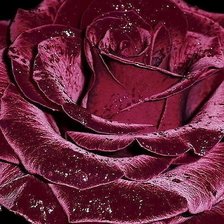 Cross stitch pattern: #1838448