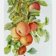 Cross stitch pattern: #1840179