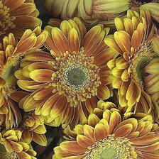 Cross stitch pattern: #1841162