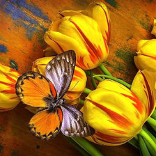 Cross stitch pattern: #1842708