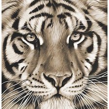 Cross stitch pattern: #1848995