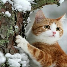 Cross stitch pattern: #1849678