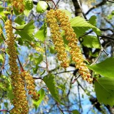 Cross stitch pattern: #1850273