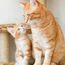 Cross stitch pattern: #1850736