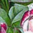 Preview of cross stitch pattern: #1856717