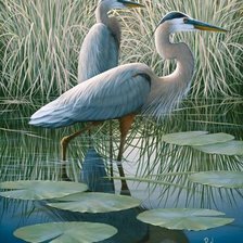 Cross stitch pattern: #1859020