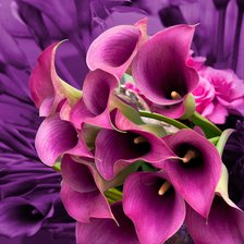 Cross stitch pattern: #1859400