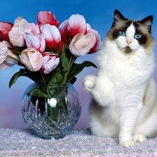 Cross stitch pattern: #1859411