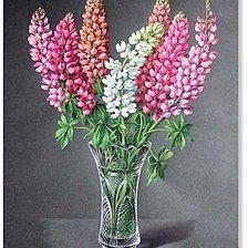 Cross stitch pattern: #1860026