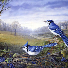 Cross stitch pattern: #1861215