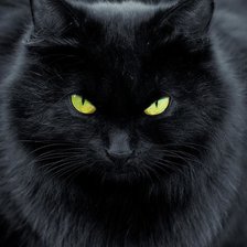 Cross stitch pattern: #1863706