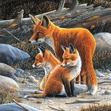 Cross stitch pattern: #1864894