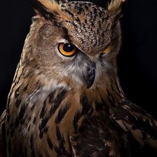 Cross stitch pattern: #1865141