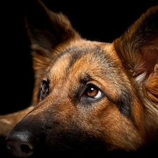 Cross stitch pattern: #1865143