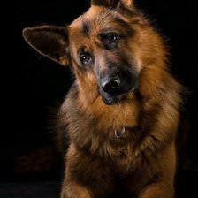 Cross stitch pattern: #1865144