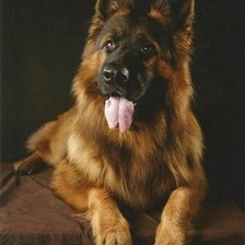 Cross stitch pattern: #1865145