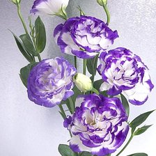 Cross stitch pattern: #1866961