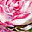Preview of cross stitch pattern: #1867622