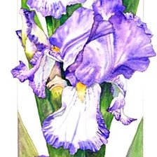 Cross stitch pattern: #1867623