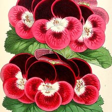 Cross stitch pattern: #1867627