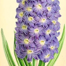 Cross stitch pattern: #1867636