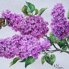 Cross stitch pattern: #1867670