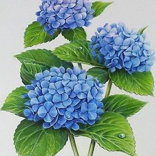 Cross stitch pattern: #1867673