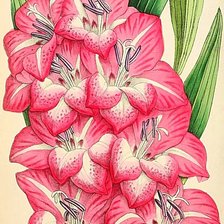 Cross stitch pattern: #1868141