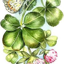 Cross stitch pattern: #1868621