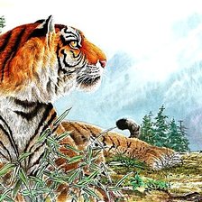 Cross stitch pattern: #1869029