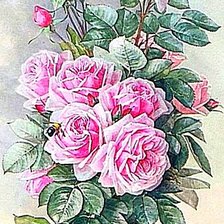 Cross stitch pattern: #1869033