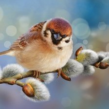 Cross stitch pattern: #1870306