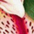 Preview of cross stitch pattern: #1872503