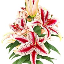 Cross stitch pattern: #1872503