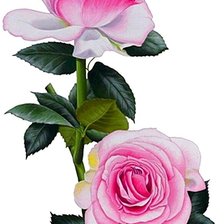 Cross stitch pattern: #1872504
