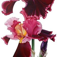 Cross stitch pattern: #1872510