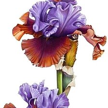 Cross stitch pattern: #1872511