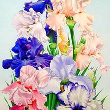 Cross stitch pattern: #1872523