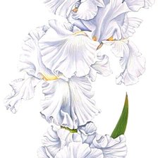 Cross stitch pattern: #1872525